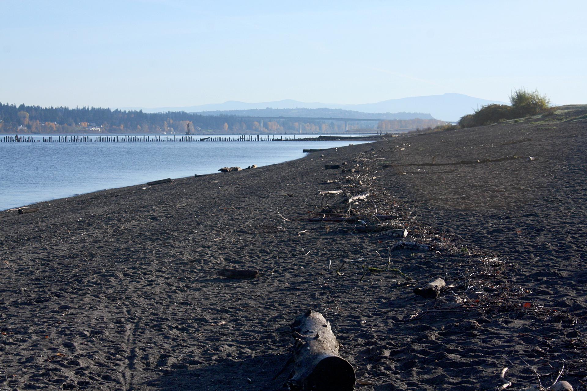 Dark sand beach with driftwood, calm water, and distant hills.