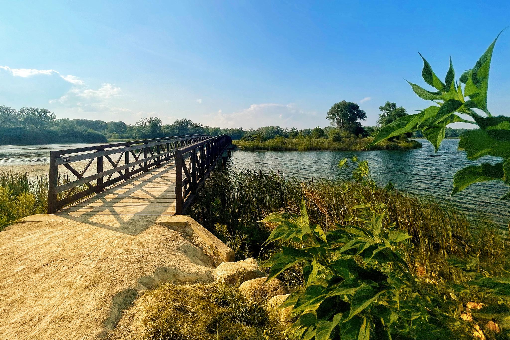 Wooden bridge extends over a calm lake, with lush green plants in bright sunlight.