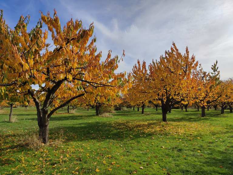 Erfurt Schwedenschanze Wanderungen und Rundwege komoot