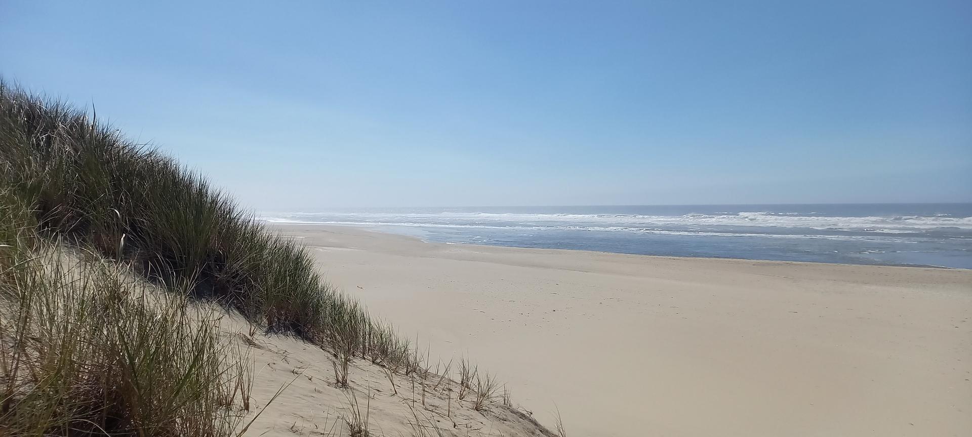 Wide sandy beach with gentle ocean waves and grassy dunes under a clear sky.