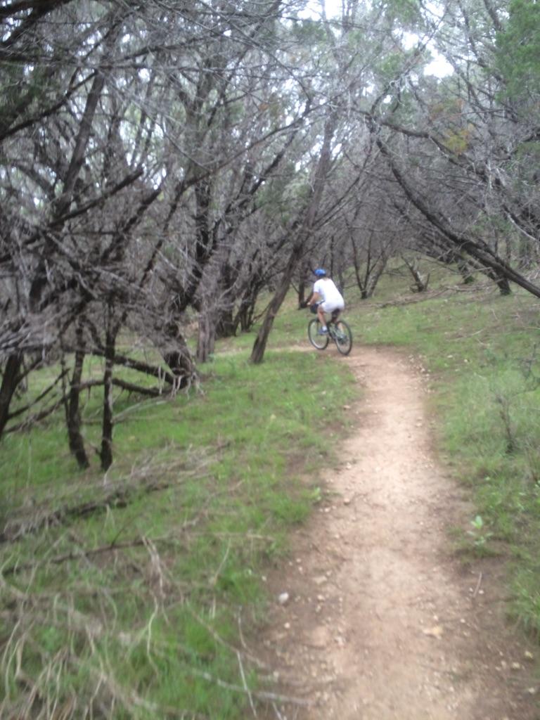 Person mountain biking on a winding dirt path through a dense, wooded area.
