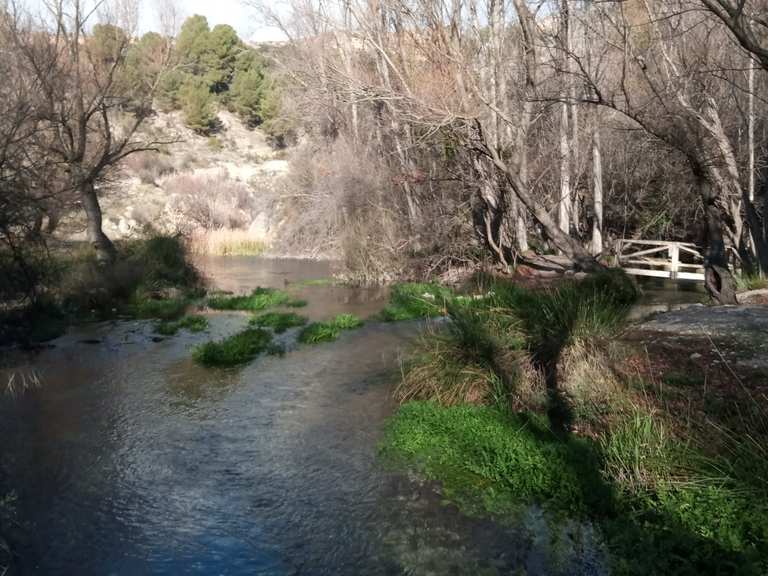 Inicio del bosque encantado de las higueras percorsi escursionistici