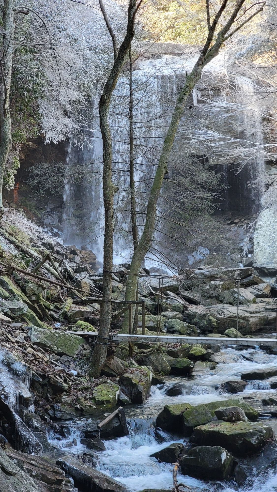 Icy waterfall cascades into a rocky stream with frost-covered trees. - Collins Gulf Trail
