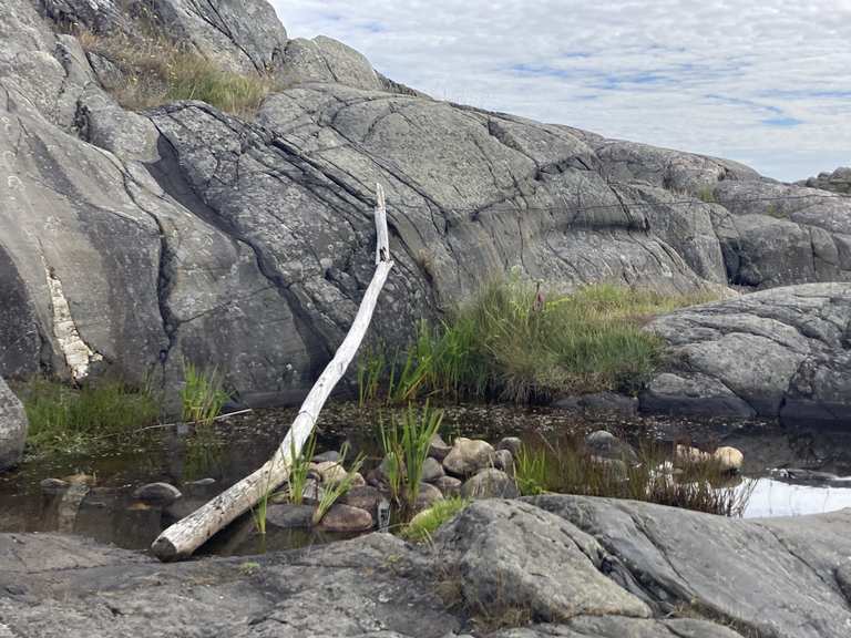 kalvehageneset-routes-for-walking-and-hiking-komoot
