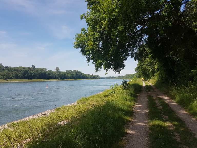 arbeitsagentur rhein neckar kreis
