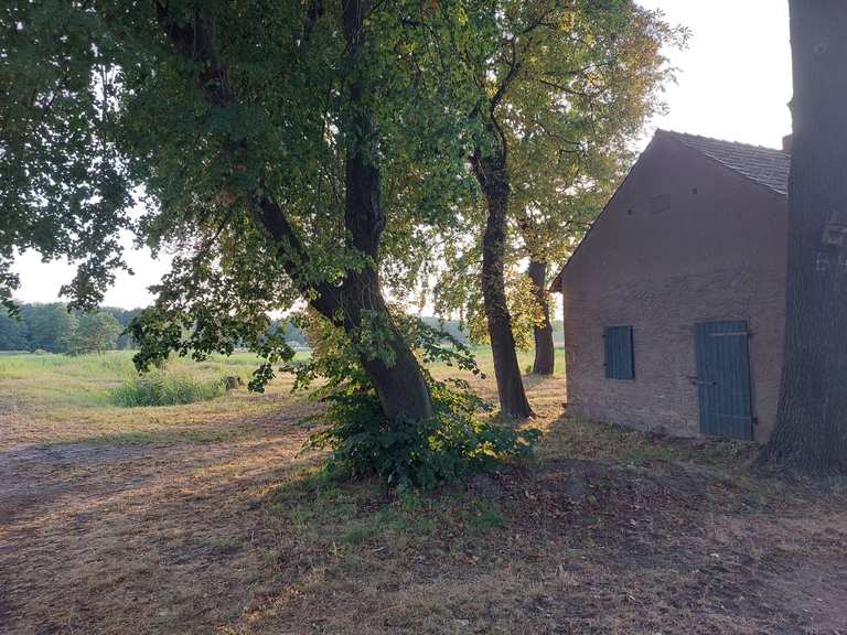 Euloer Teiche an der Malxe Wanderungen und Rundwege komoot