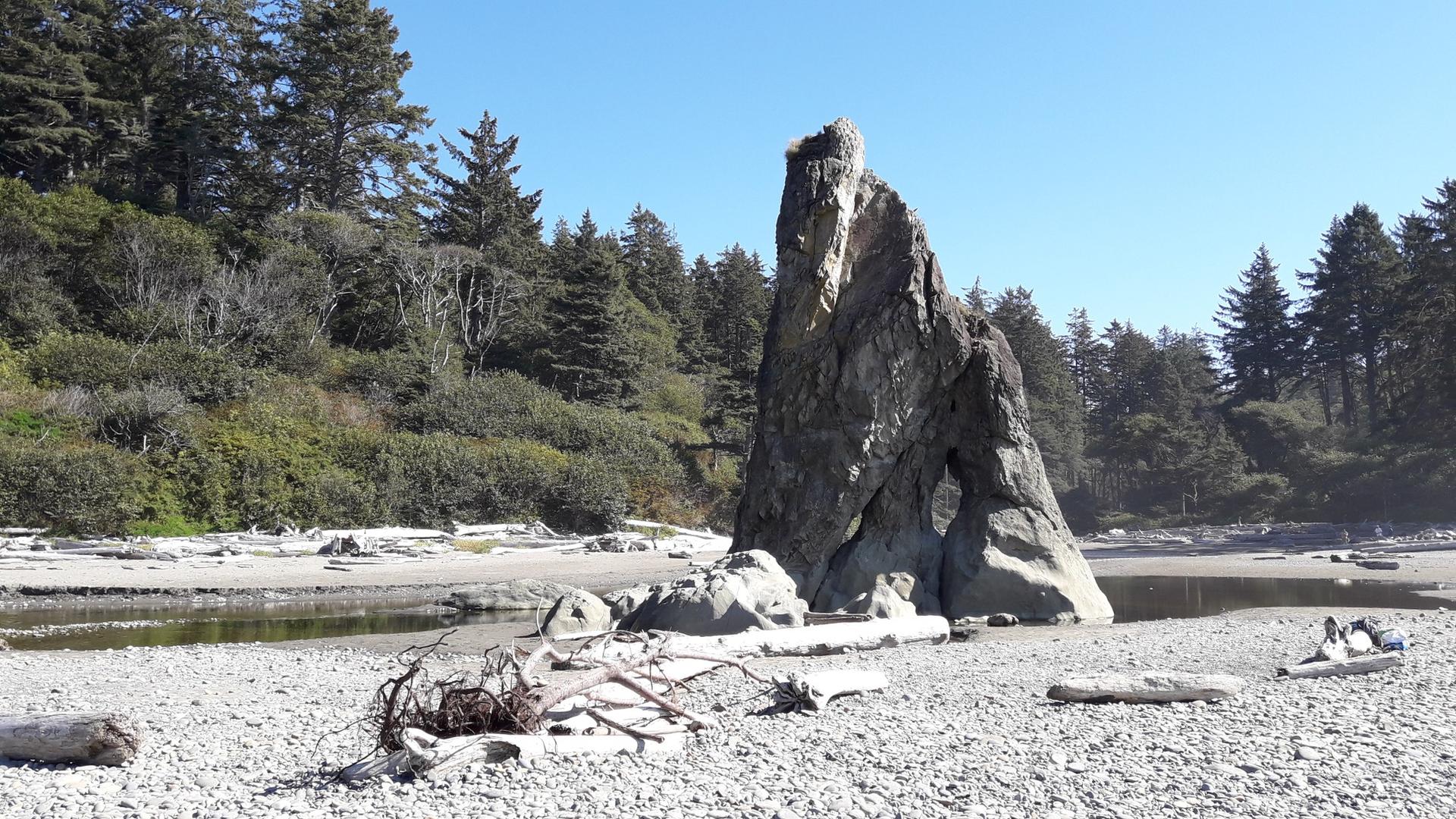 A large rock formation stands on a sunny, rocky beach with a forest backdrop.