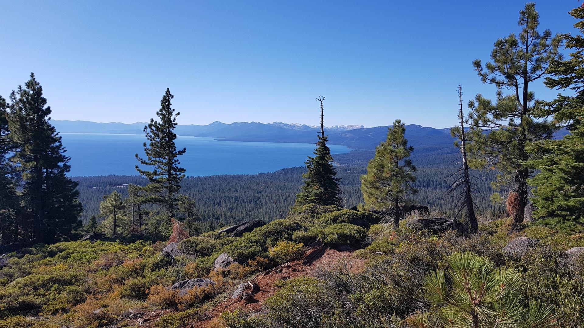 Panoramic view of a deep blue lake, green forest, and snowy mountain range.