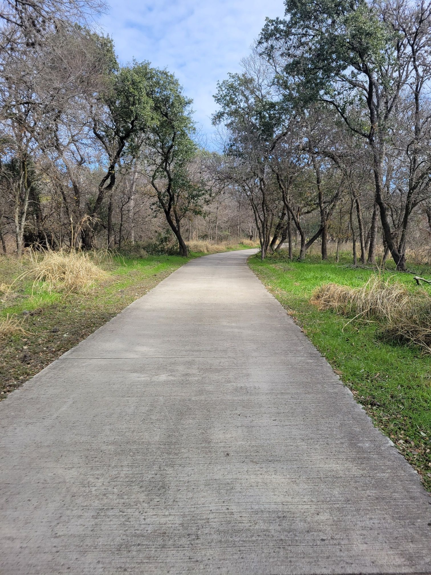 A paved path leads through a wooded area with green grass and trees. - Salado Creek Trail – Morningstar Boardwalk loop from Six Flags Fiesta Texas
