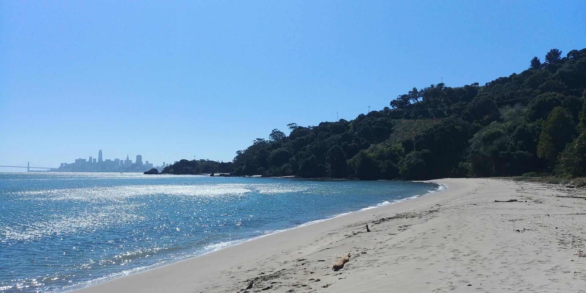 Sunny beach with sparkling ocean, forested hill, and distant city skyline.