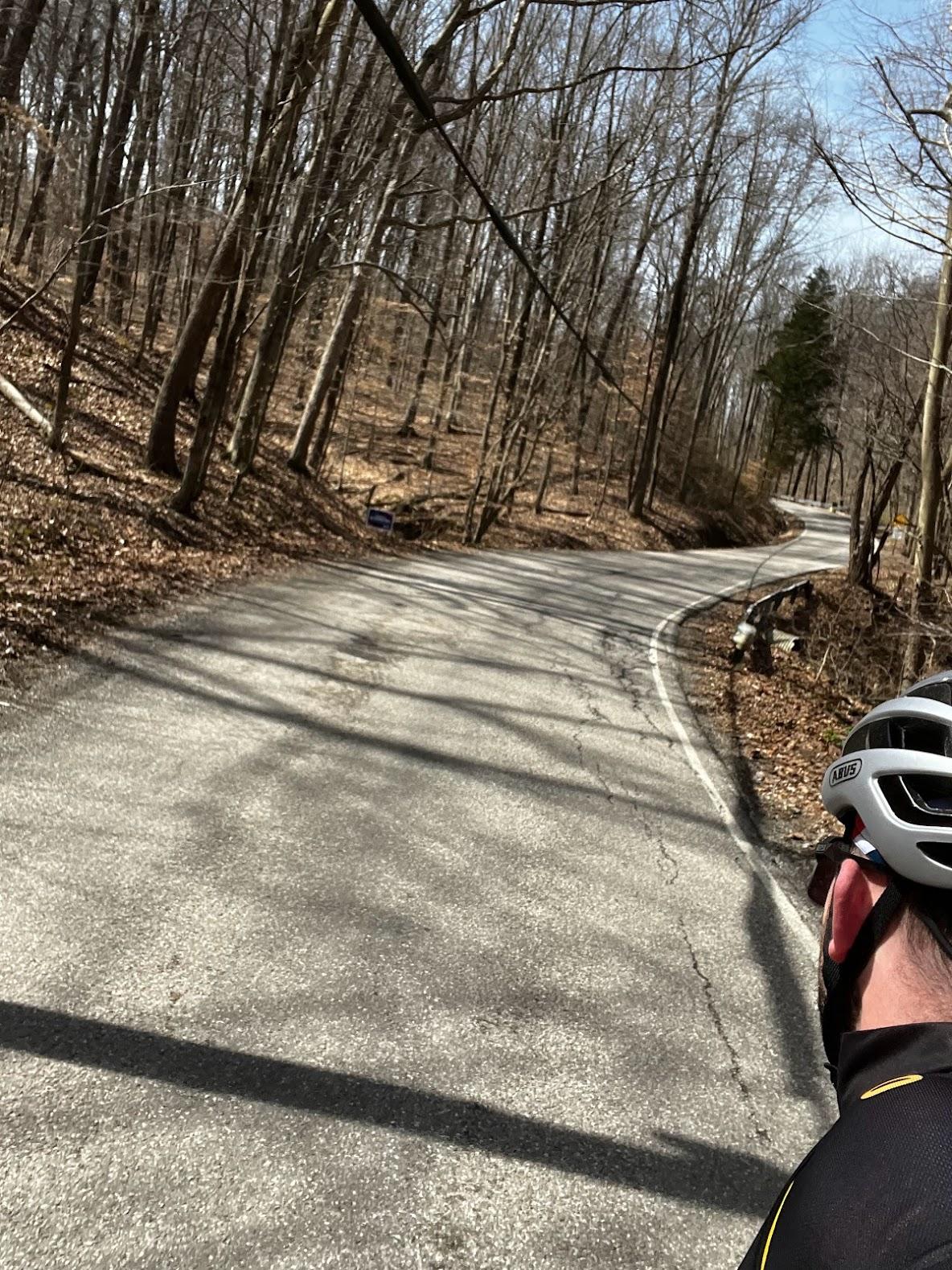 A person in a helmet looks at a winding road through a bare forest.