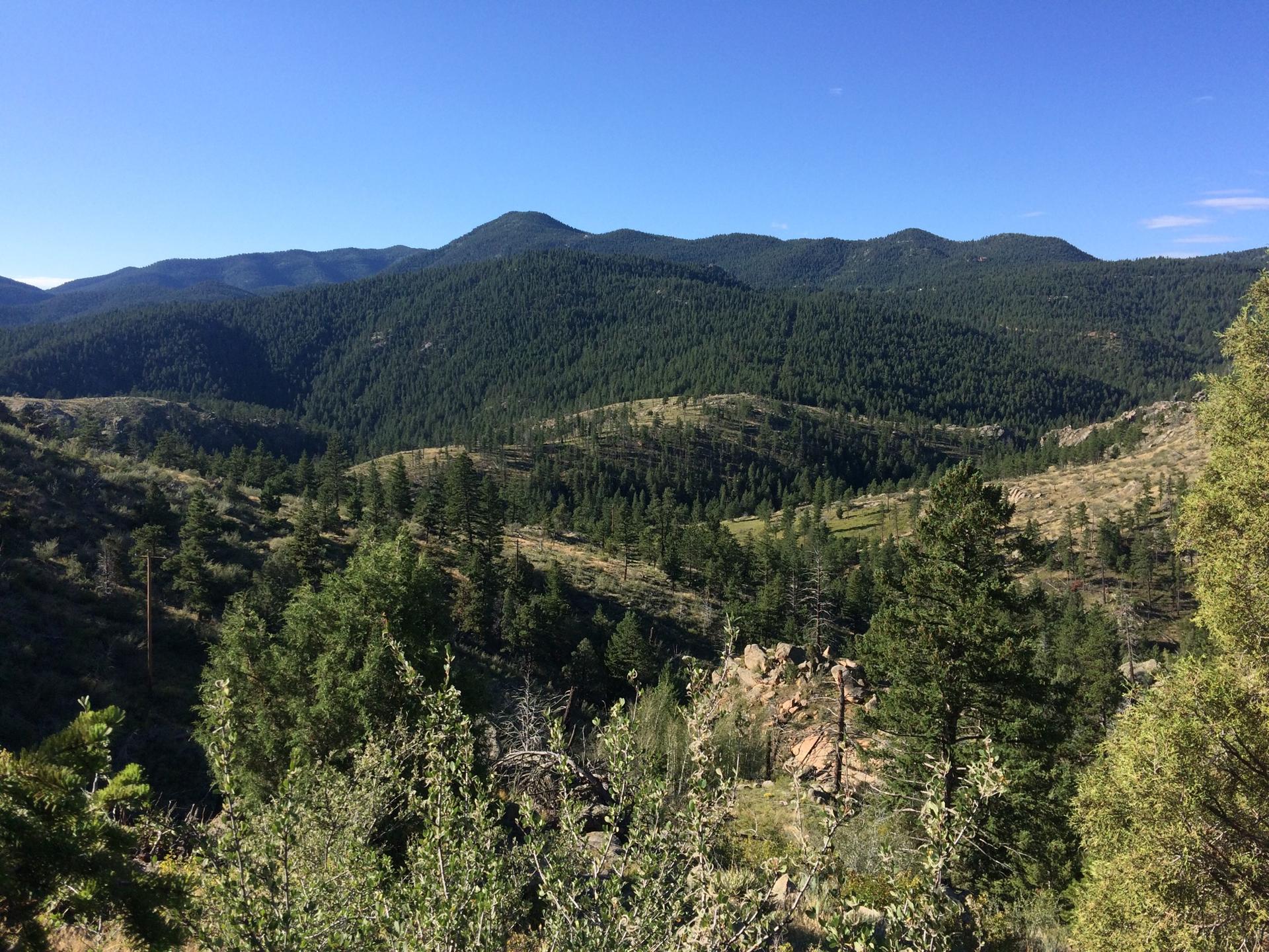 Vast mountain landscape with forested hills under a clear blue sky.