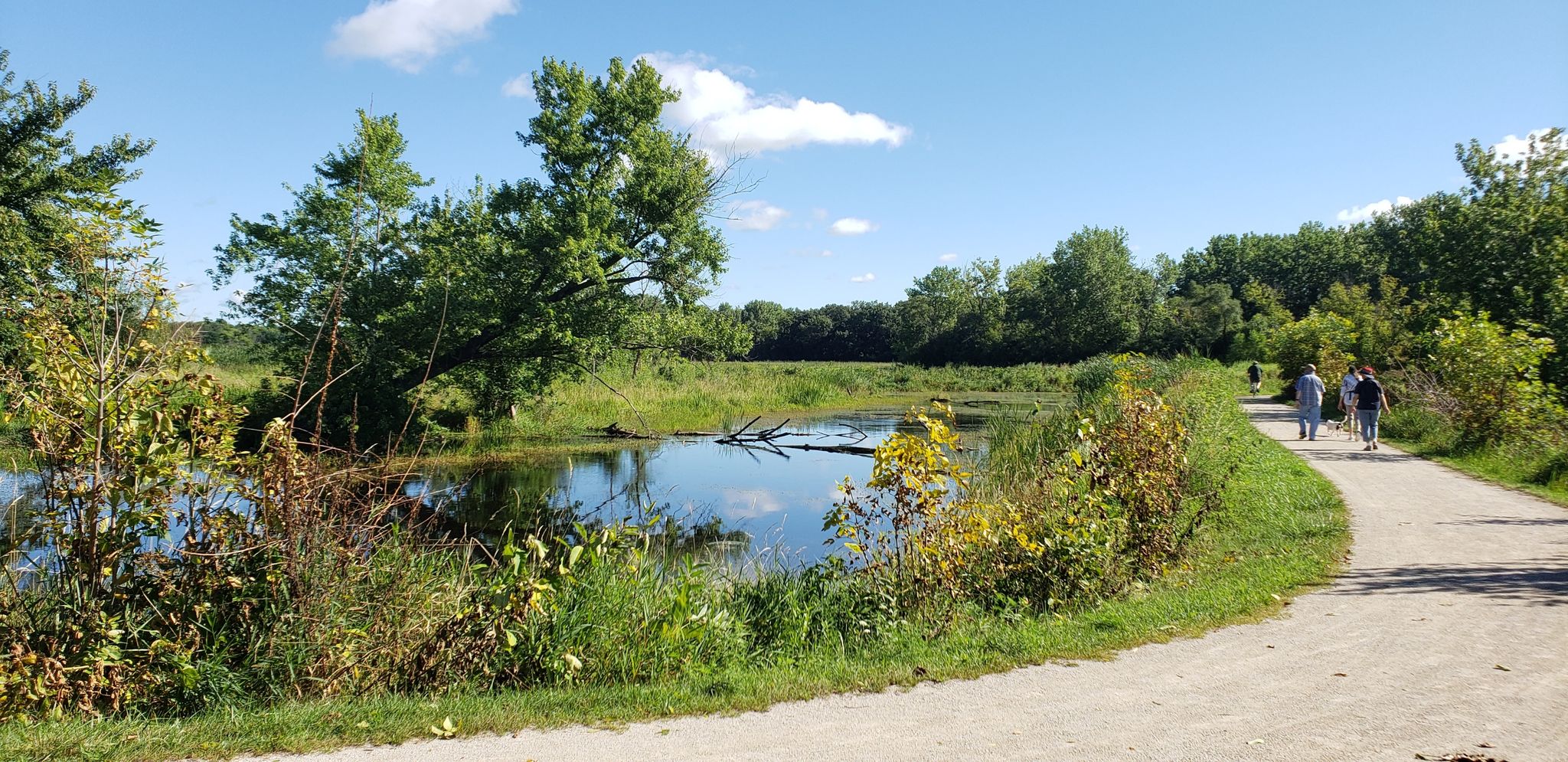 People walk on a sunny path beside a pond and green trees. - Fox River Trail Loop