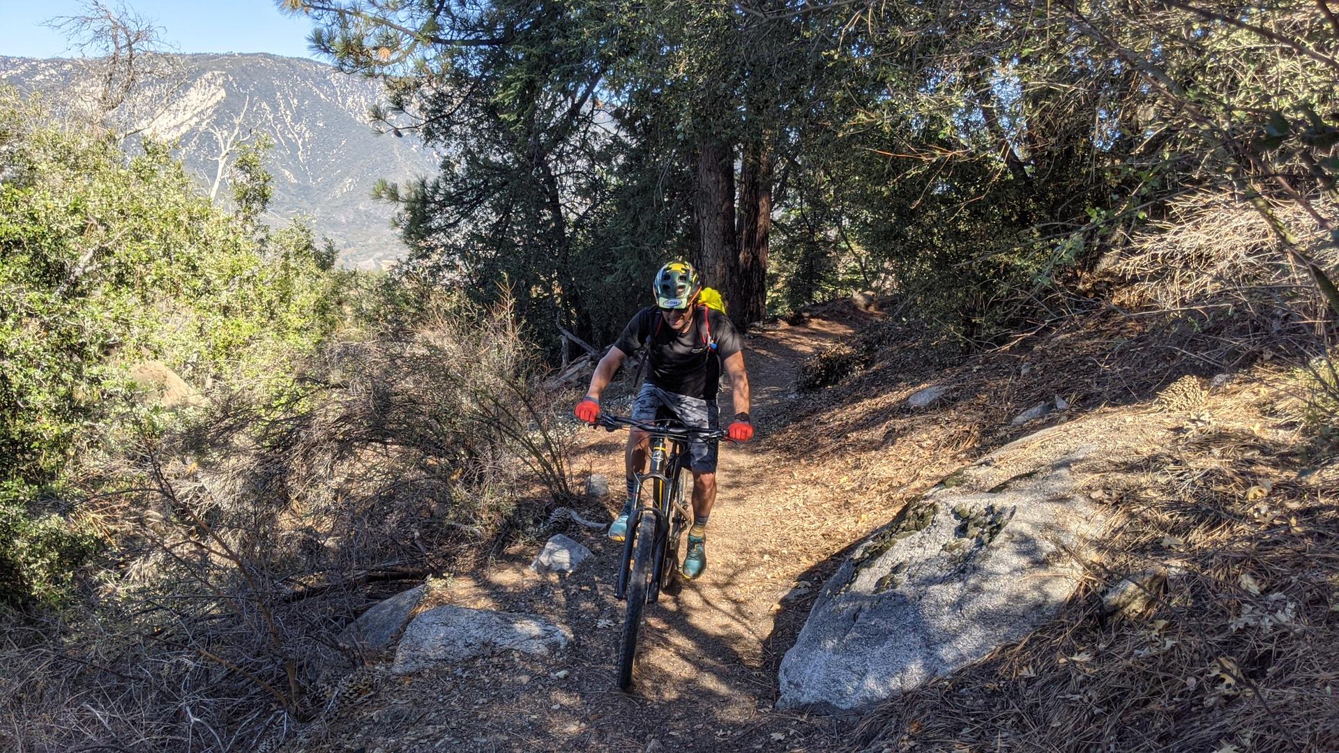 A mountain biker rides a sunny dirt trail through trees with distant mountains.