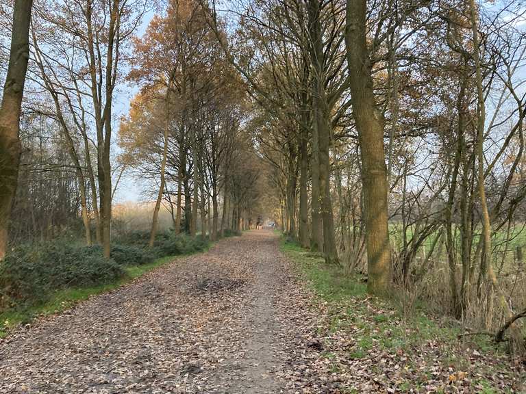 Natuurloop Parkbos – running on the outskirts of Ghent | run | Komoot
