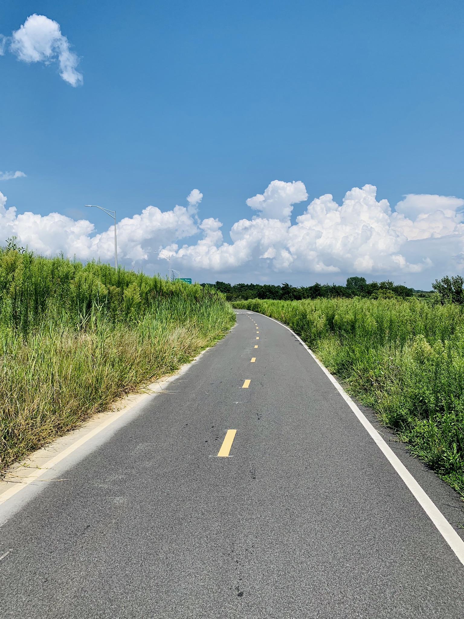 Paved path with yellow lines through tall green grass under blue sky.