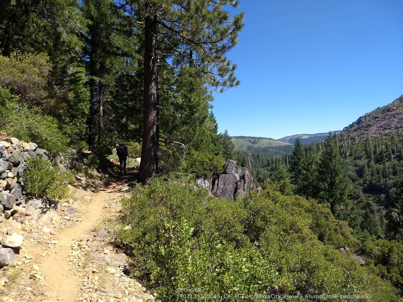 Hiker on a dirt trail through a sunlit forest with distant mountains.