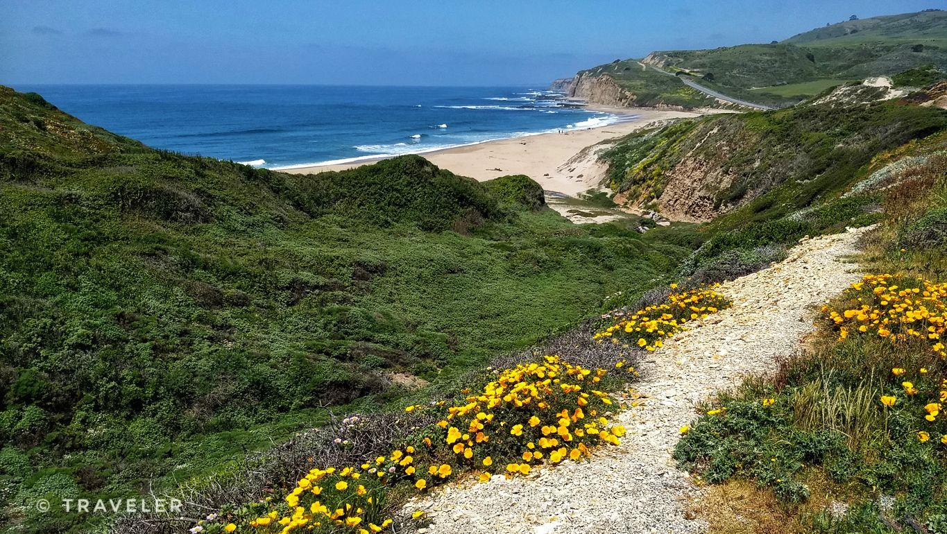 Gravel path through green hills with yellow flowers, overlooking a sunny beach.