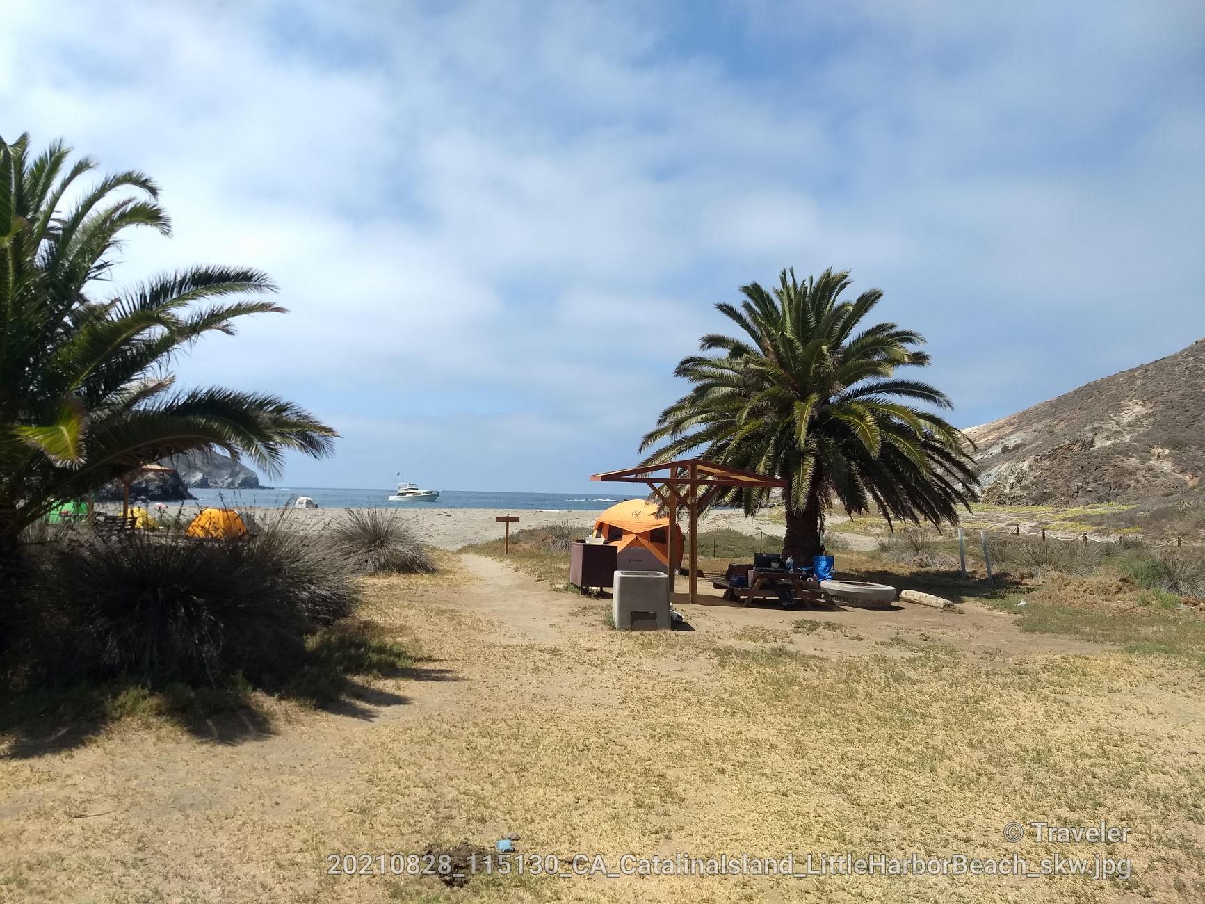 Beach campsite with palm trees, tents, and ocean under a bright sky.