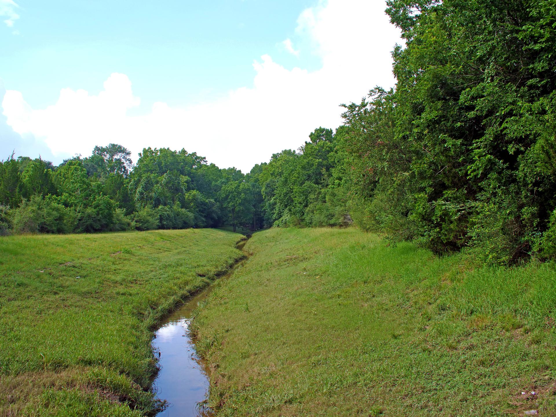 Narrow stream winding through a vibrant green field under a bright sky.