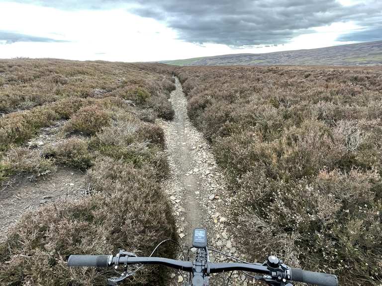 Blanchard Moor & Edmundbyers Common loop — The North Pennines
