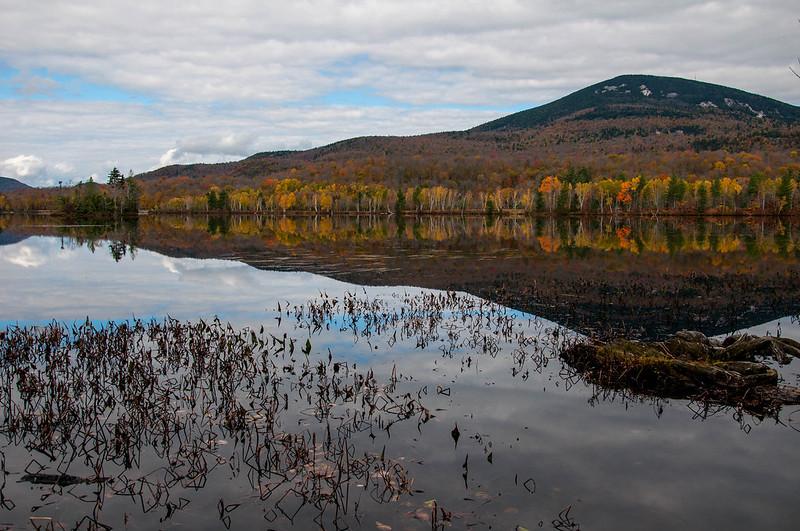 Autumn forest and mountain reflected in a calm lake under cloudy skies.