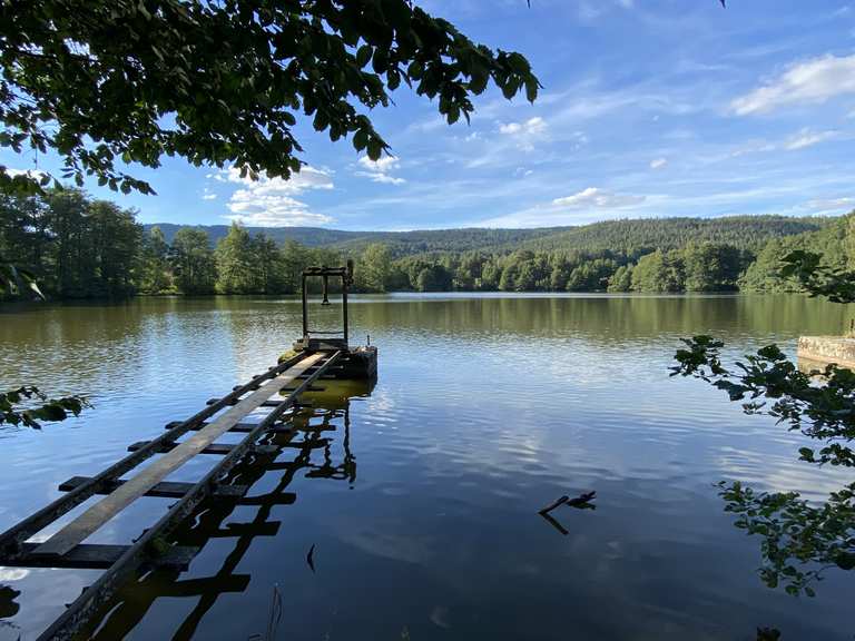 Bank am Frauenreuther Weiher Wanderungen und Rundwege komoot