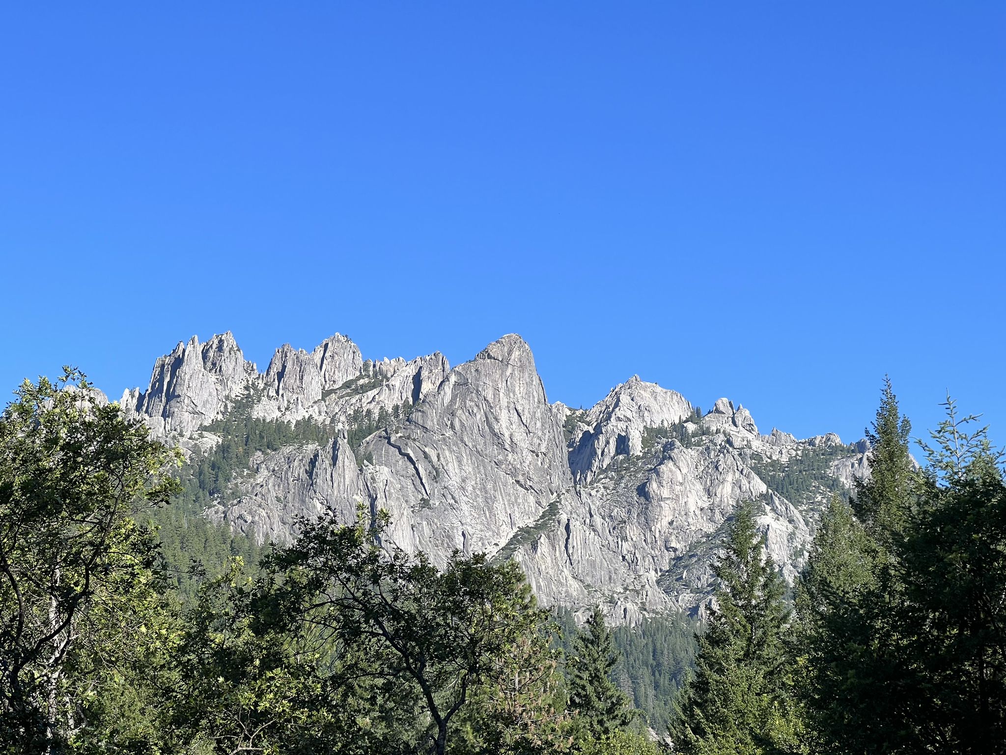 Jagged mountain range with forested base under a clear, bright blue sky. - Vista Point Trail