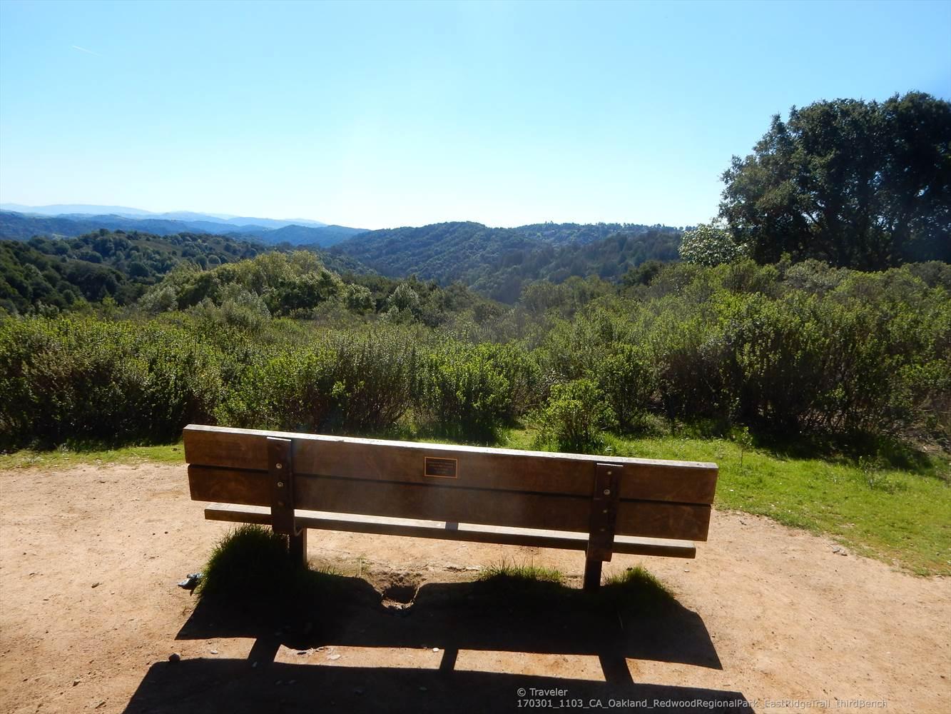 Wooden bench overlooks a vast, sunny, green forested valley under clear sky.