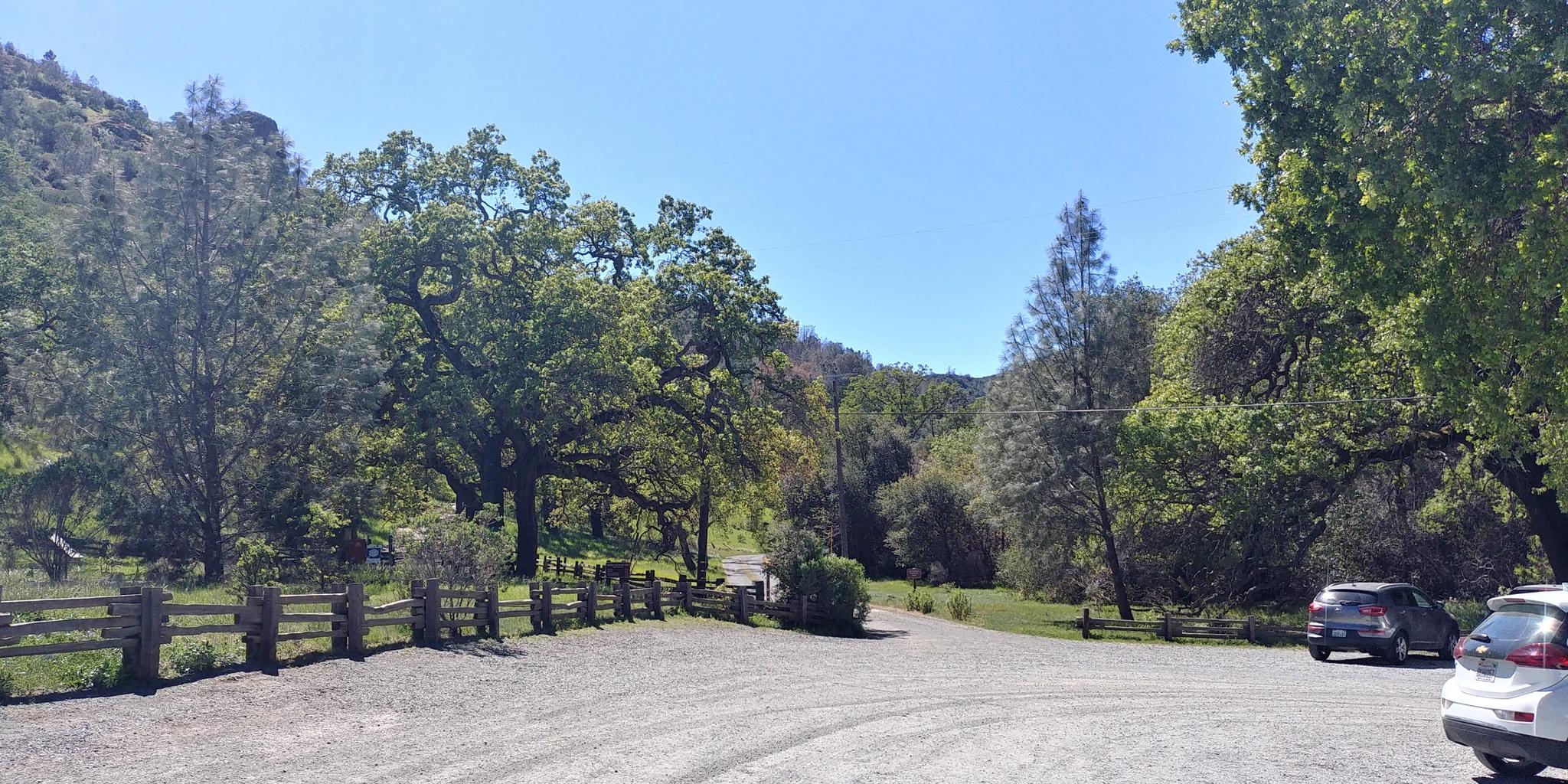 Sunny dirt parking area surrounded by lush green trees and a fence.