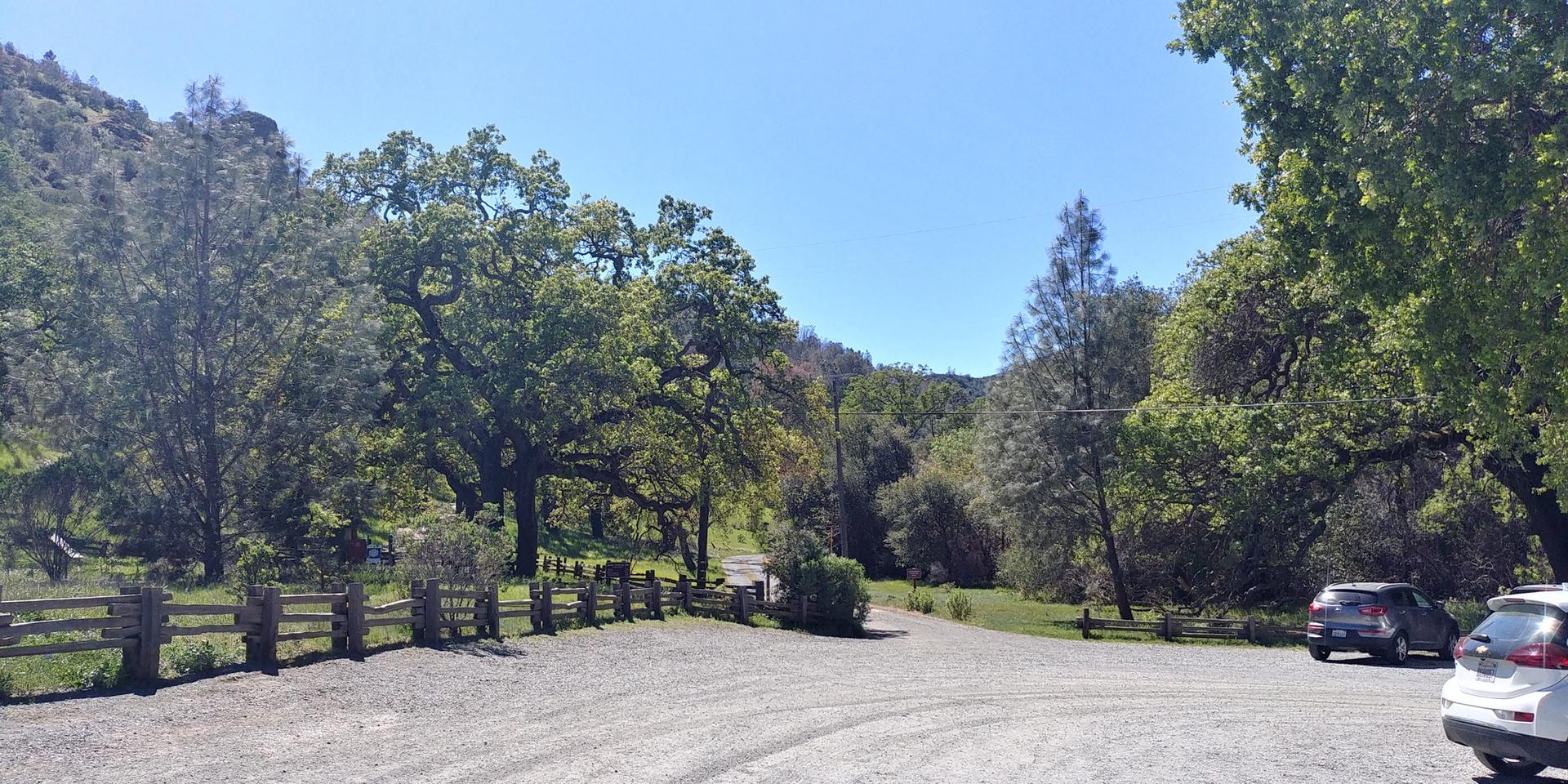 Sunny dirt parking area surrounded by lush green trees and a fence.