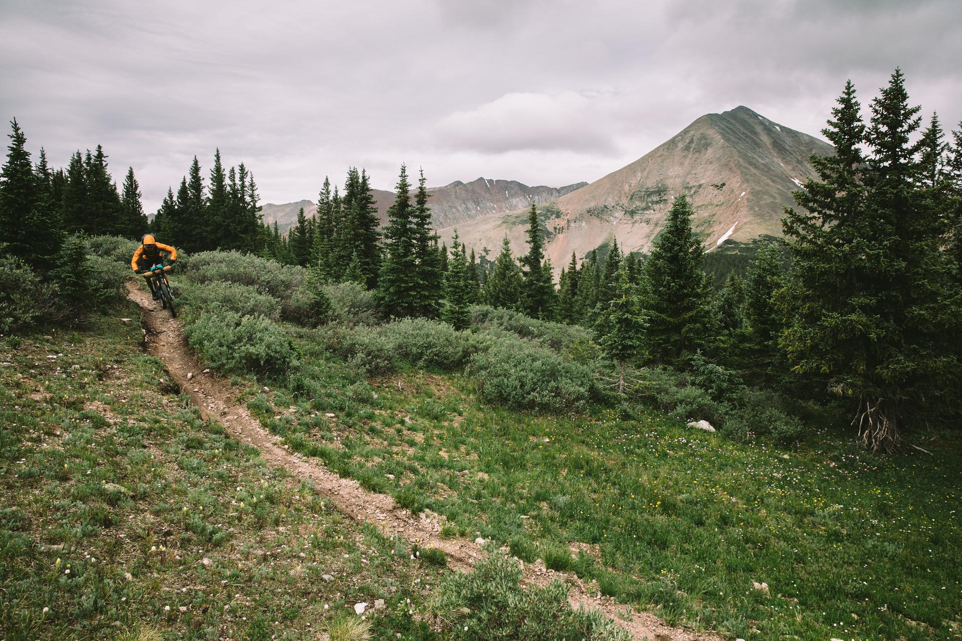 Mountain biker on a dirt trail through a forest with a mountain backdrop.