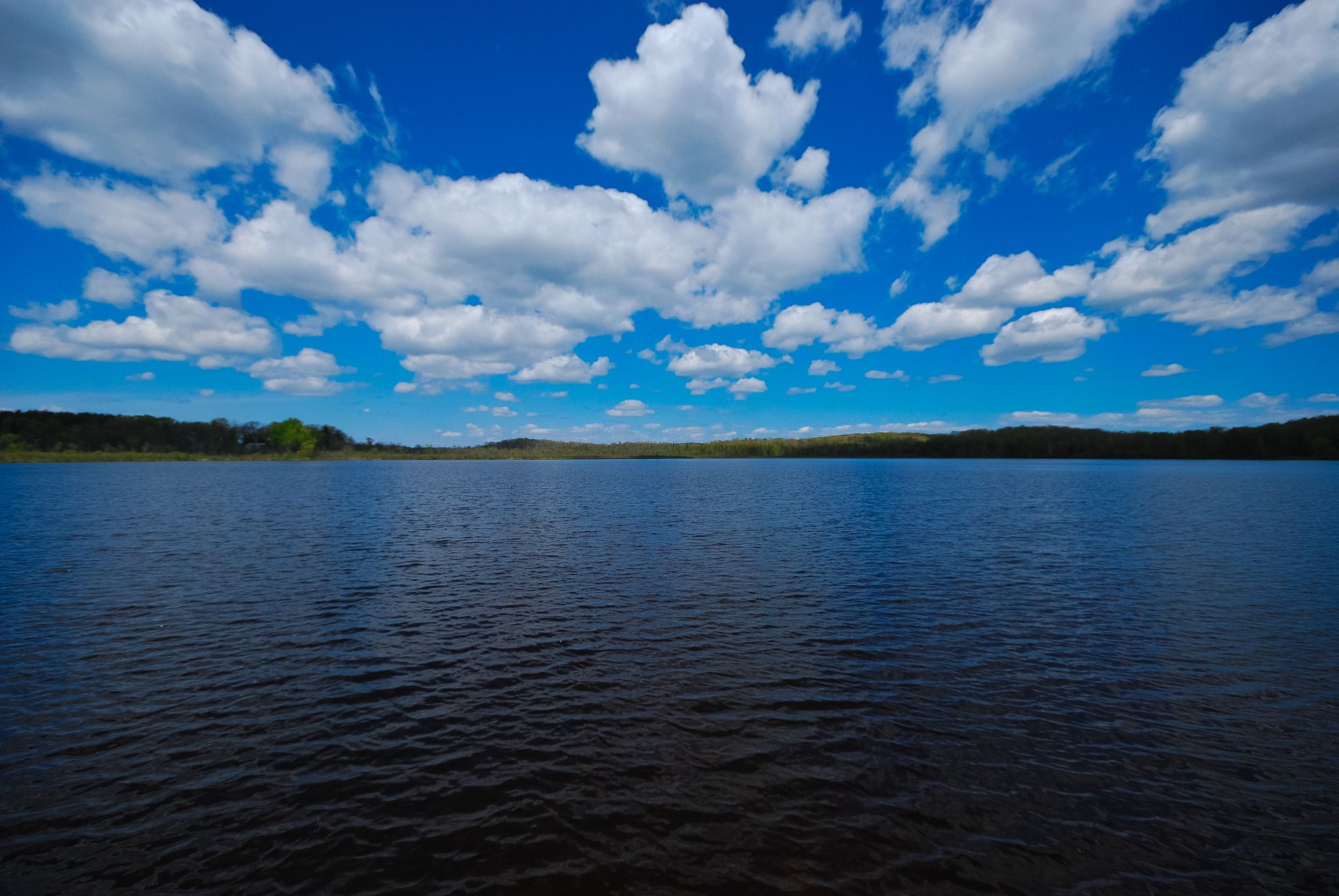 Vast dark blue lake under a bright sky with fluffy white clouds. - Forest Lake and Mauthe Lake Loop