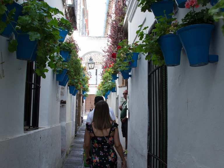 Vasi decorativi di fiori sulle pareti nelle strade di Cordoba