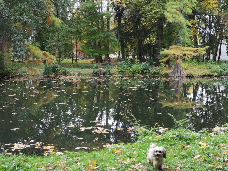 Langer Teich Wanderungen und Rundwege komoot