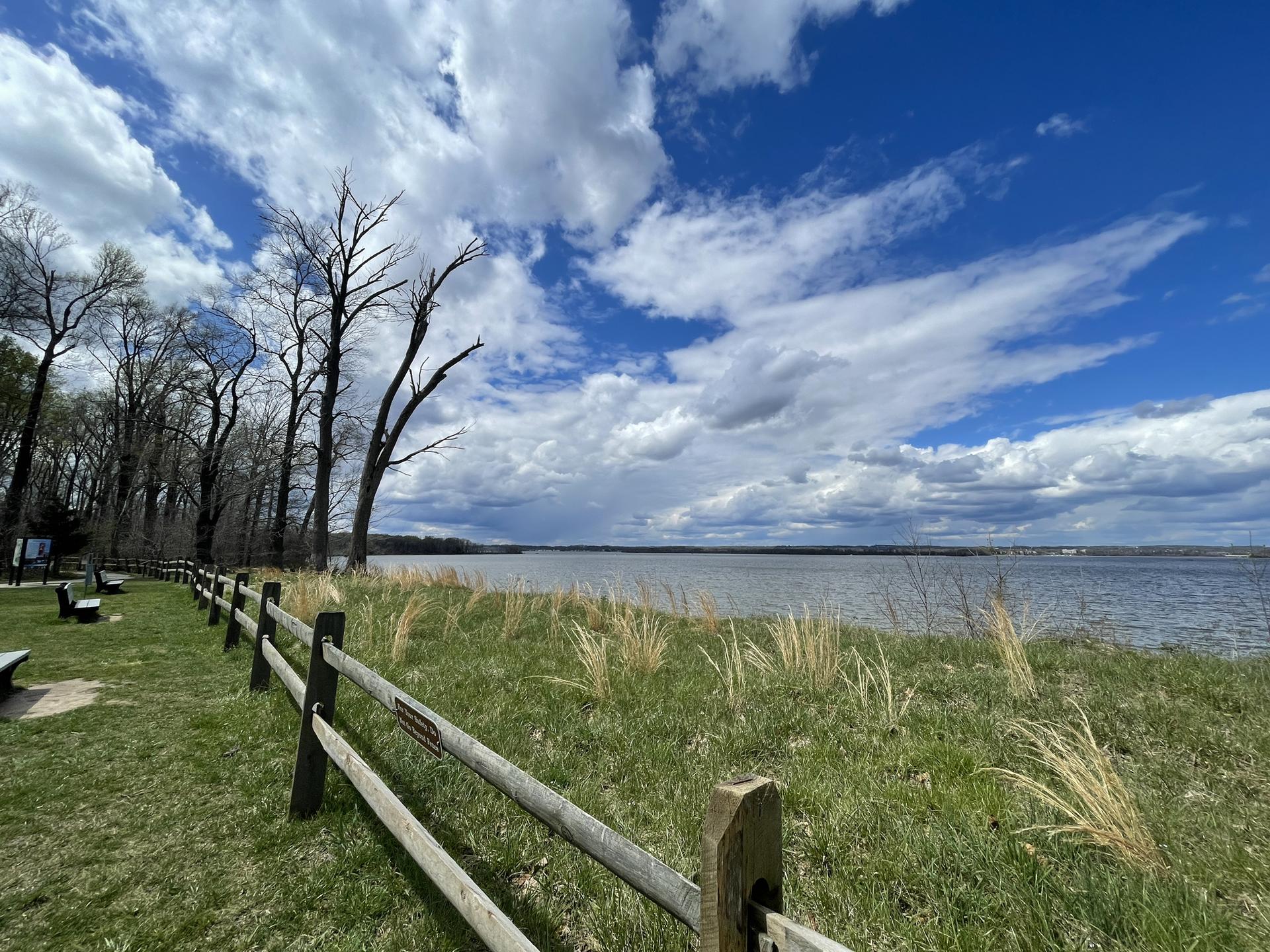 A wide lake with bare trees and a wooden fence under a bright sky.