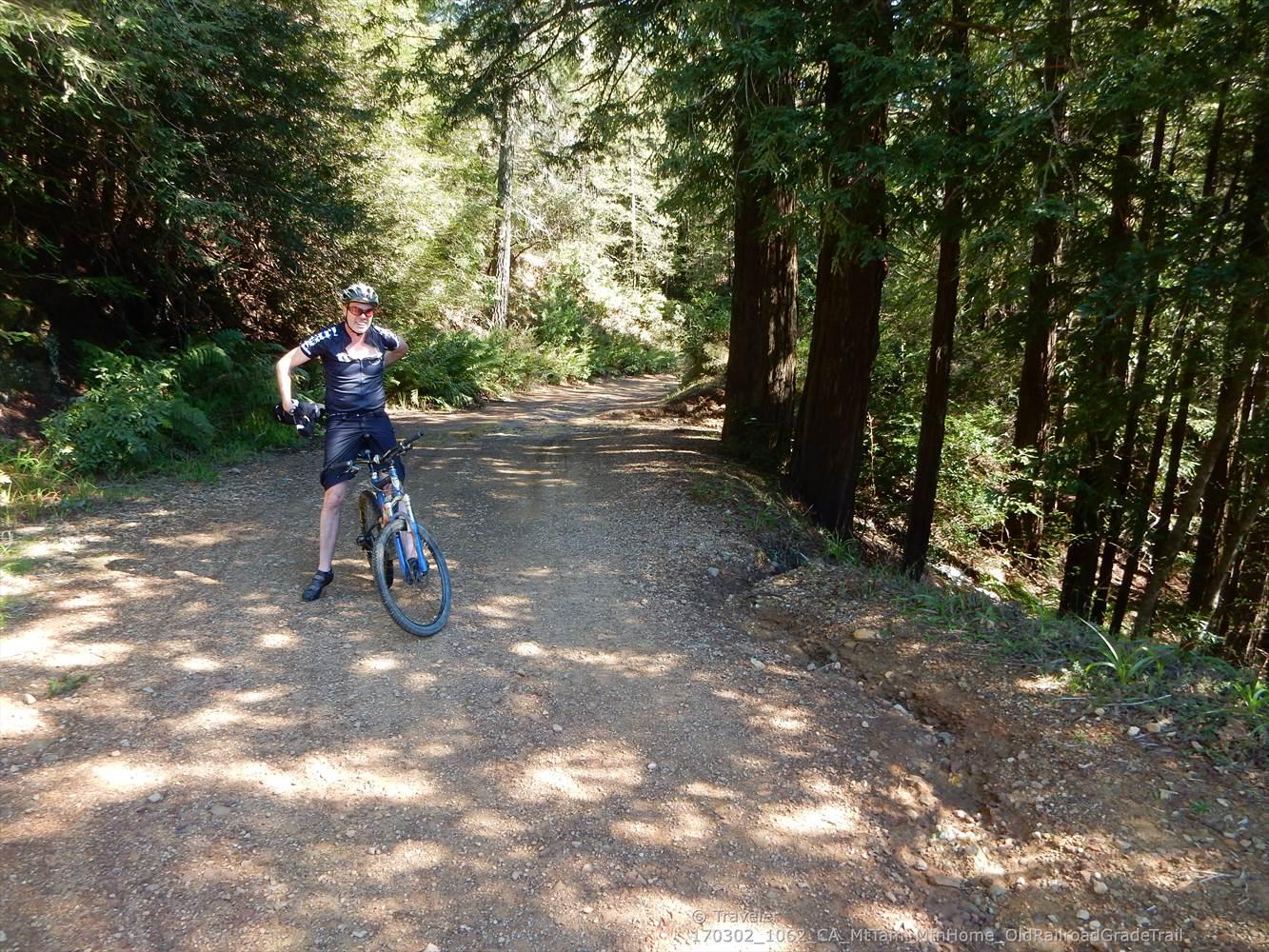 Man on mountain bike on a sunny dirt forest road.