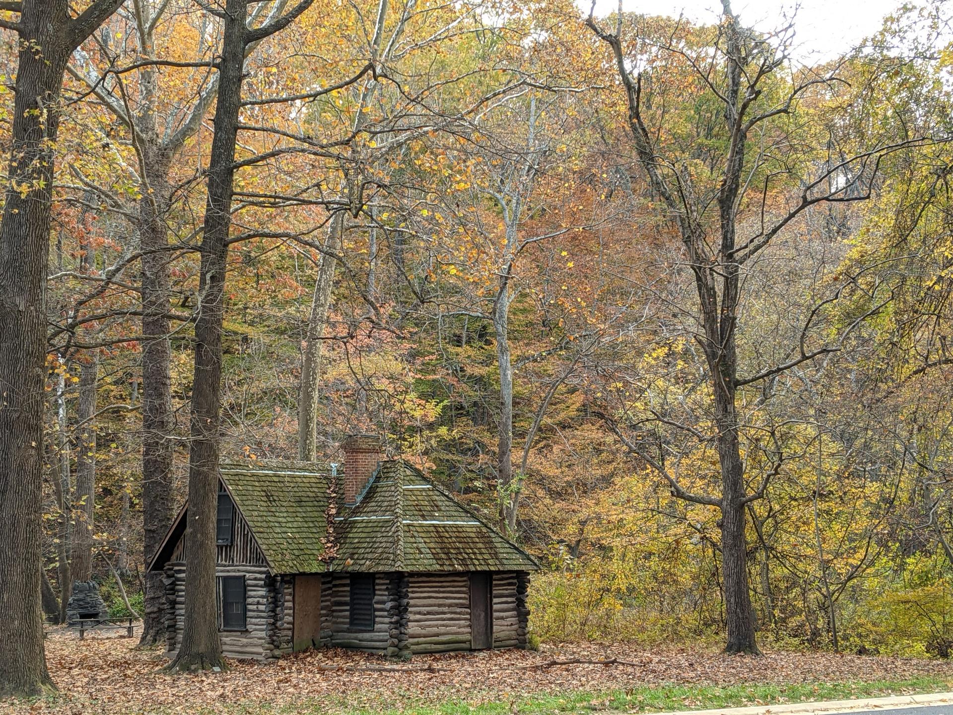 A rustic log cabin nestled in a forest with vibrant autumn leaves.
