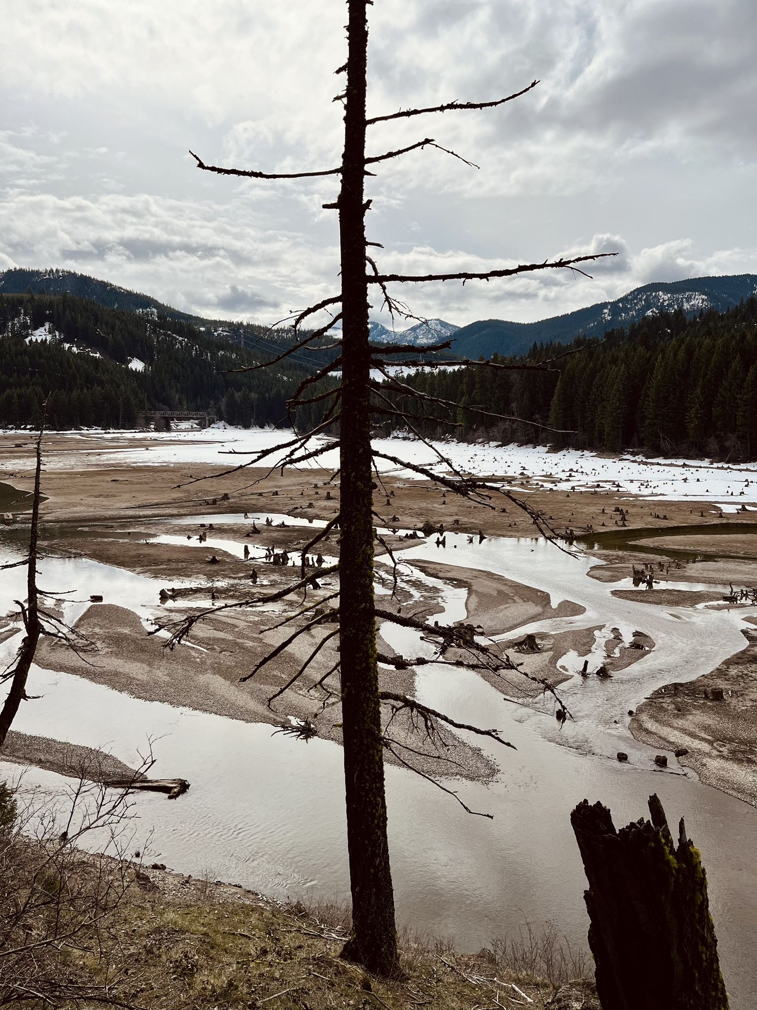Overcast view of a dry riverbed, dead tree, and distant snowy mountains. - View of Lake Easton – Lake Easton State Park loop from Easton State Airport
