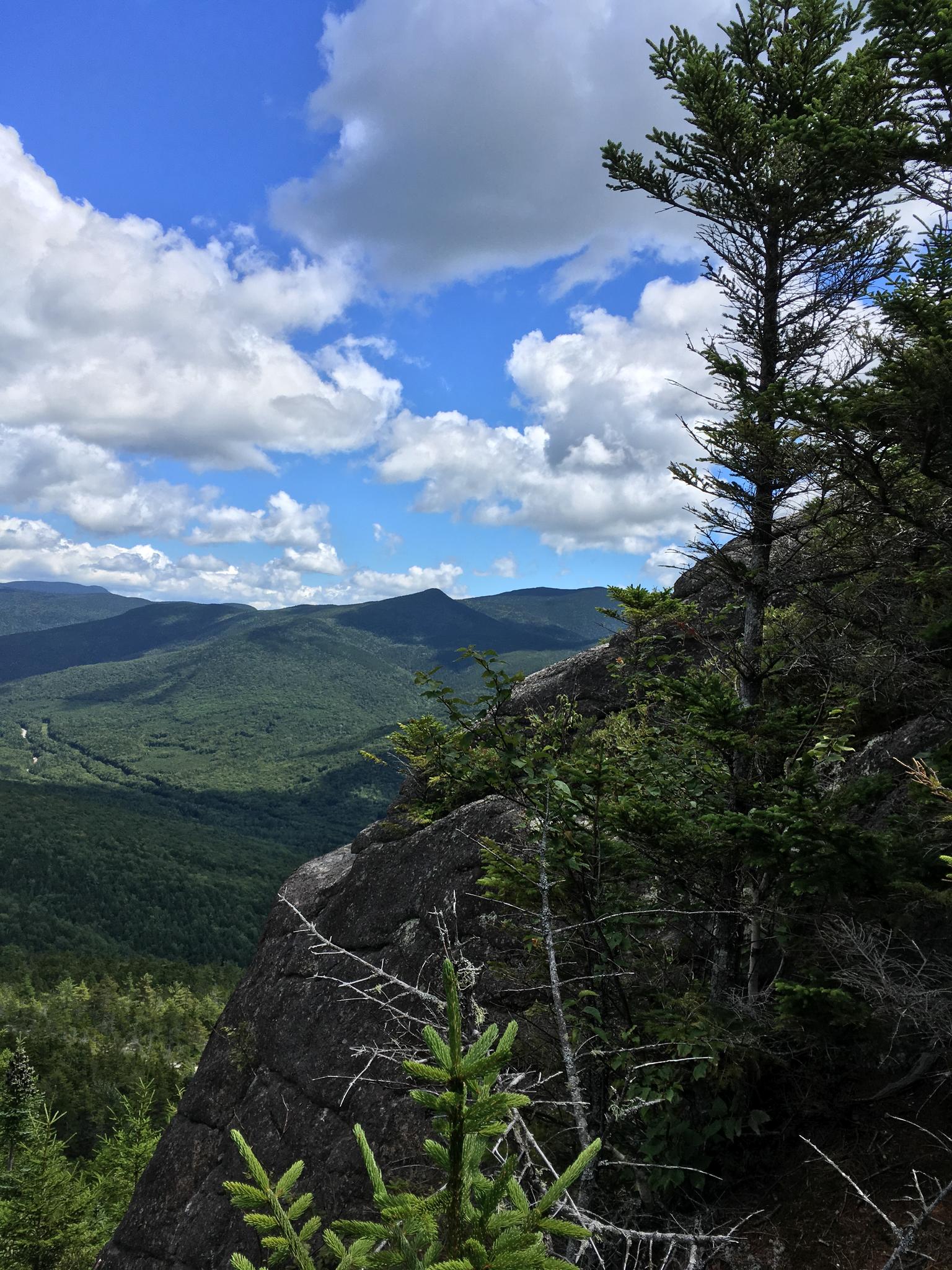 Sunny mountain view from a rocky cliff with pine trees and distant peaks.