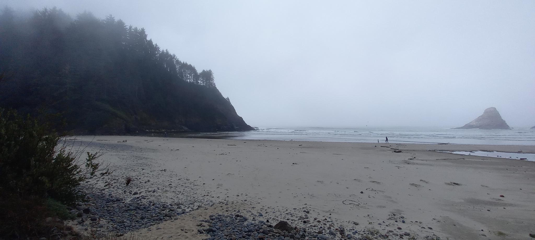Foggy beach with ocean waves, a sea stack, and a distant person.
