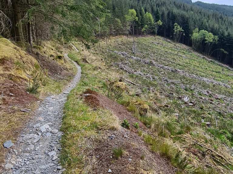 ClimachX MTB loop slate tracks of the Dyfi Valley mountain bike ride Komoot