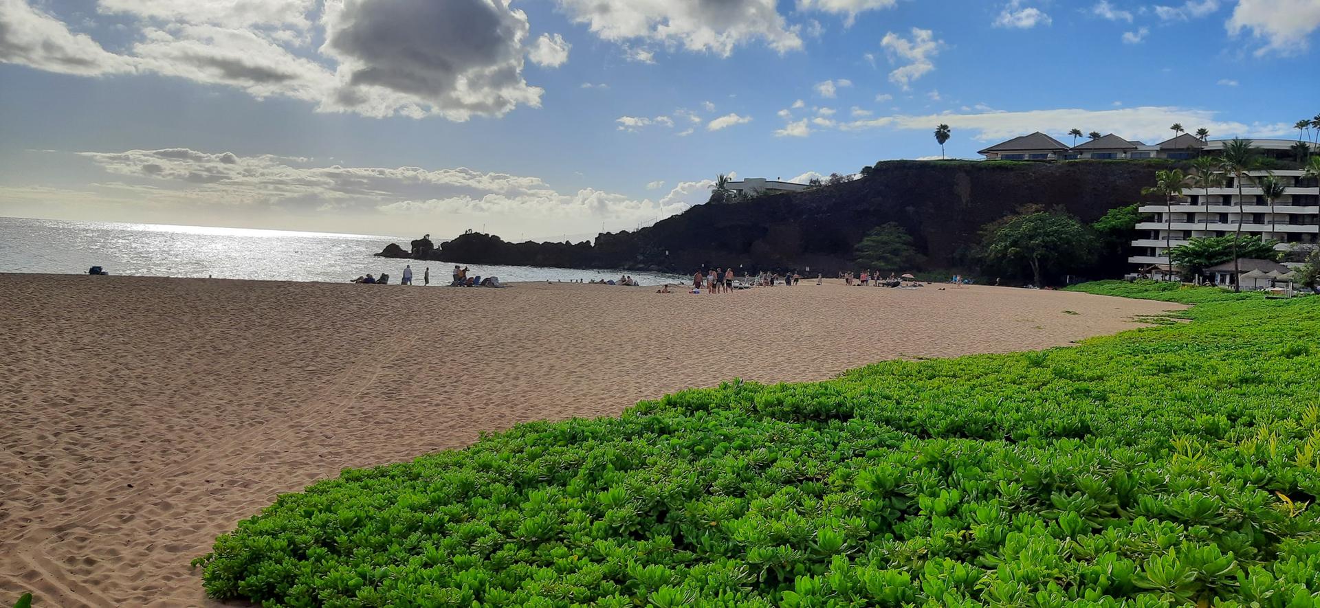 Wide sandy beach with green plants, ocean, and distant cliffside buildings.