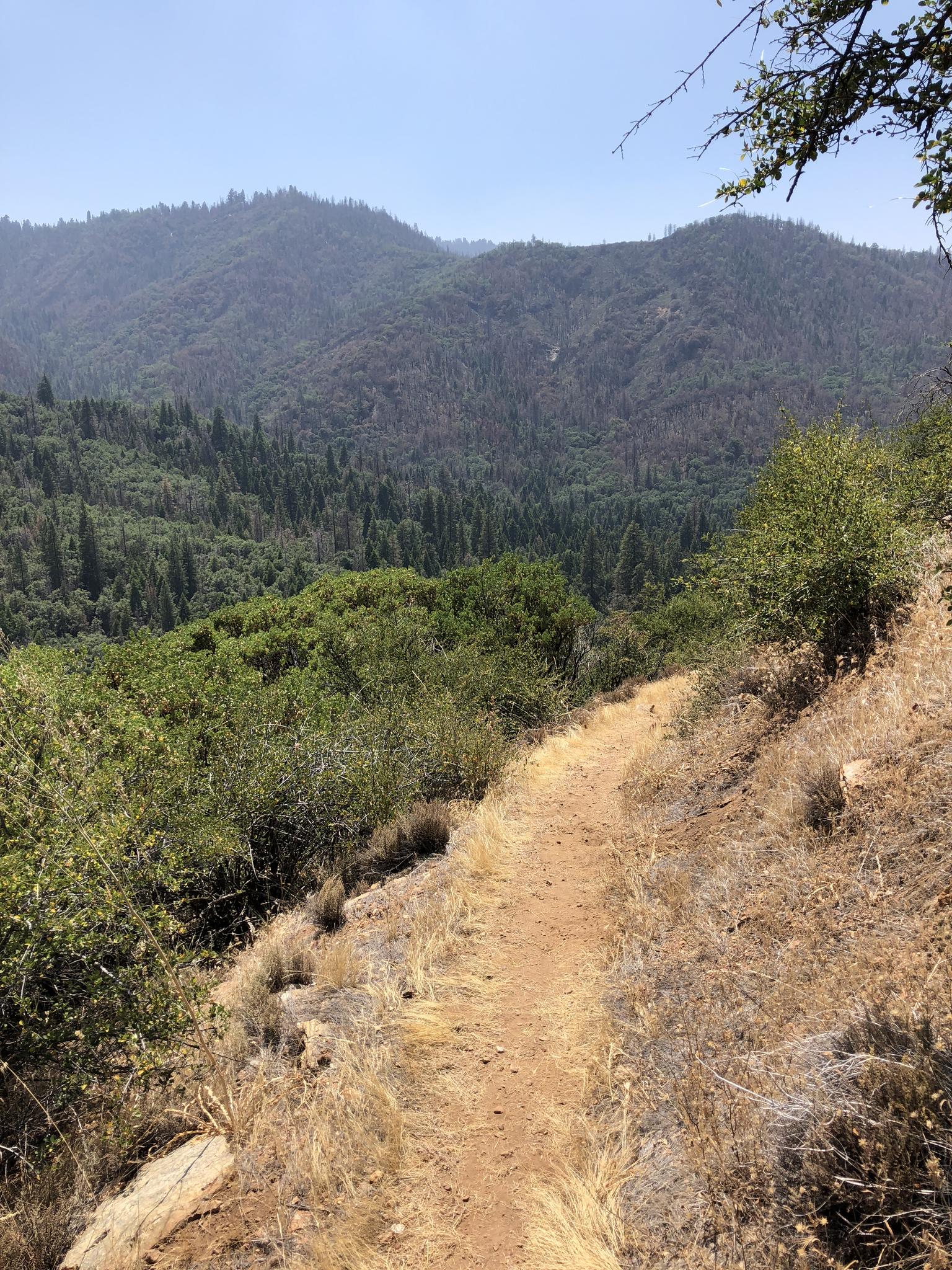 Dirt trail overlooking a vast valley of forested mountains on a sunny day.