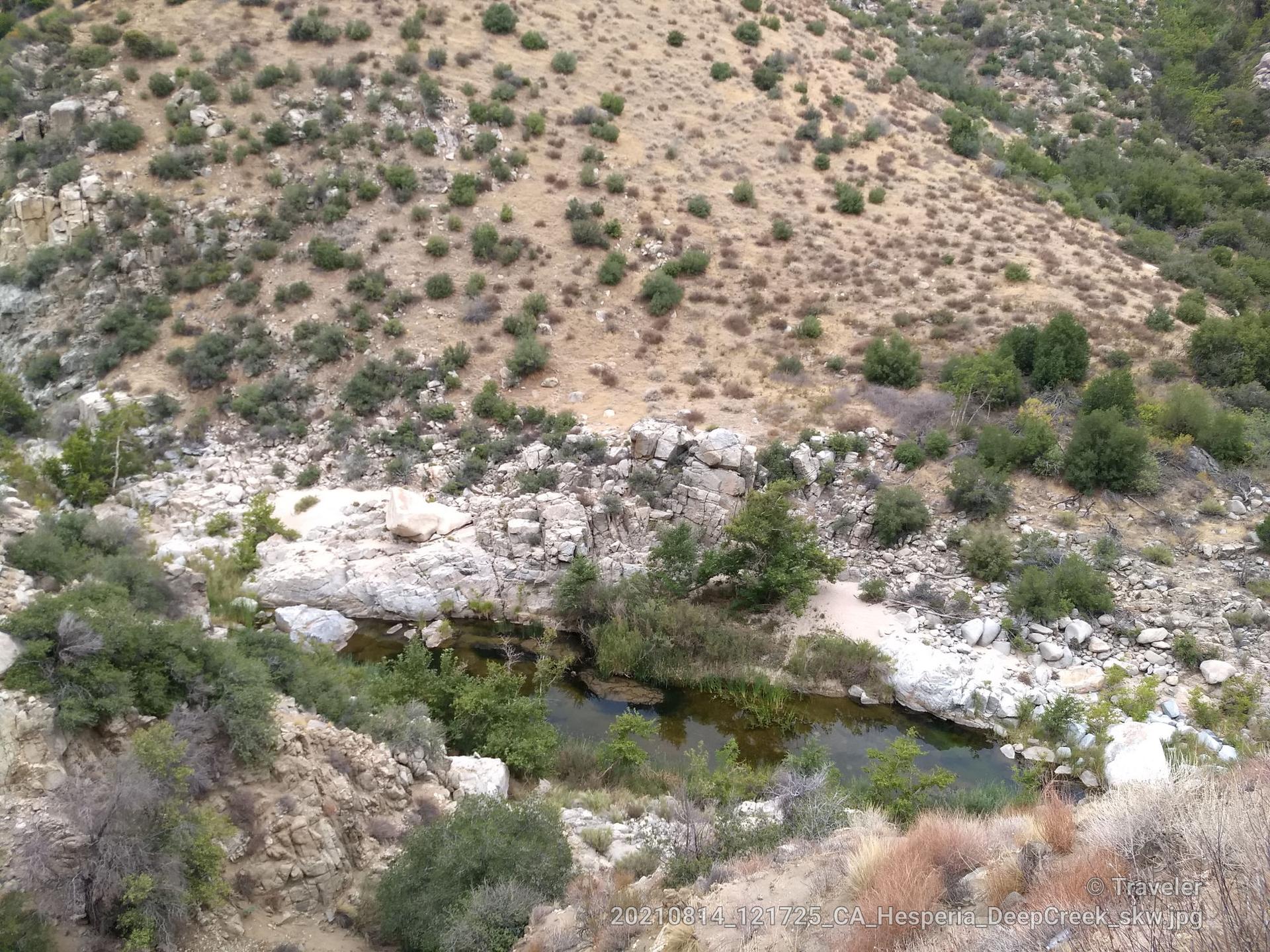 Overhead view of a rocky stream with green trees in a canyon.