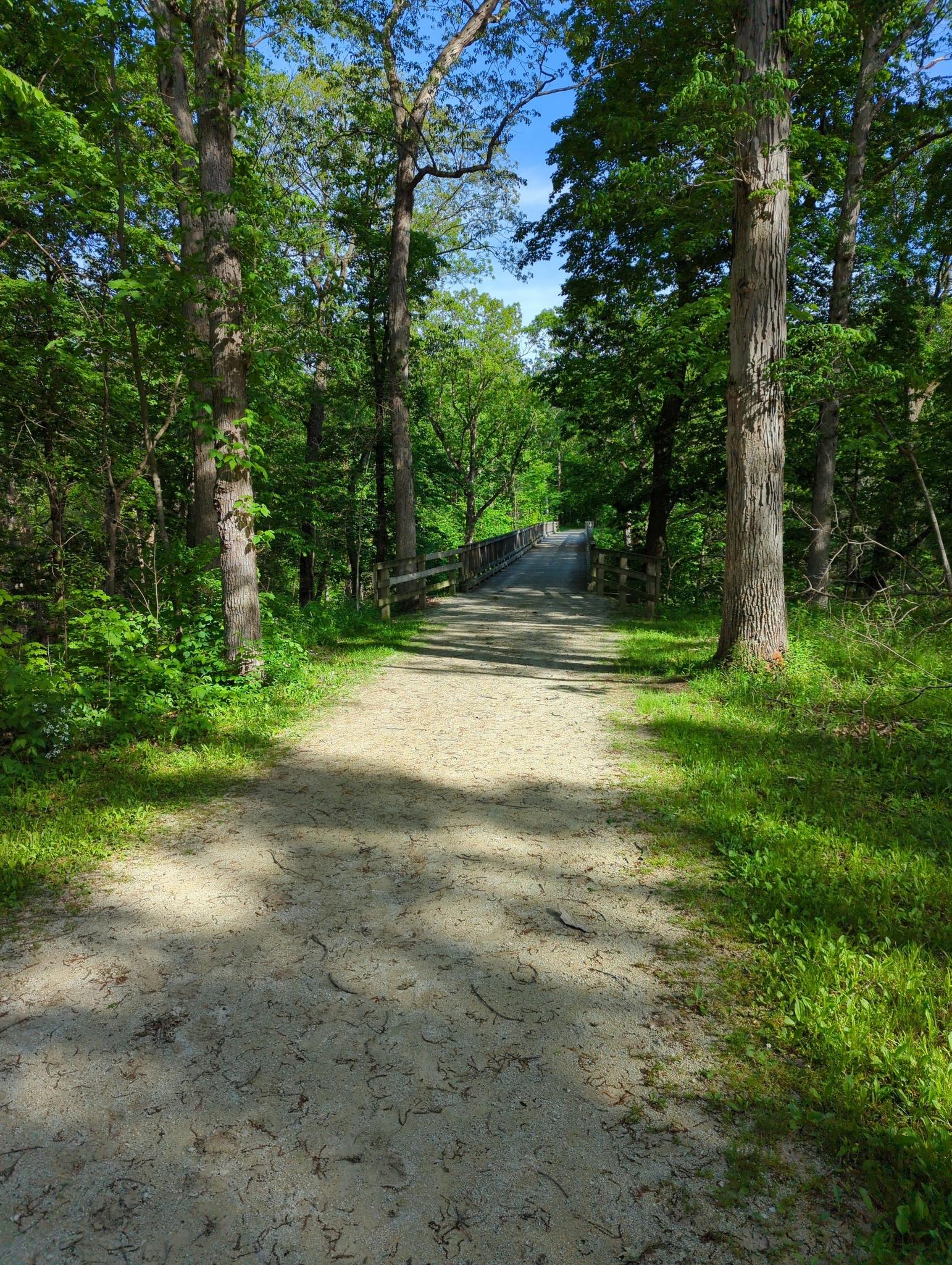A sunlit dirt path leads through a dense green forest towards a distant bridge.