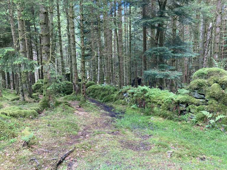 Rowchoish Bothy Wanderungen und Rundwege komoot