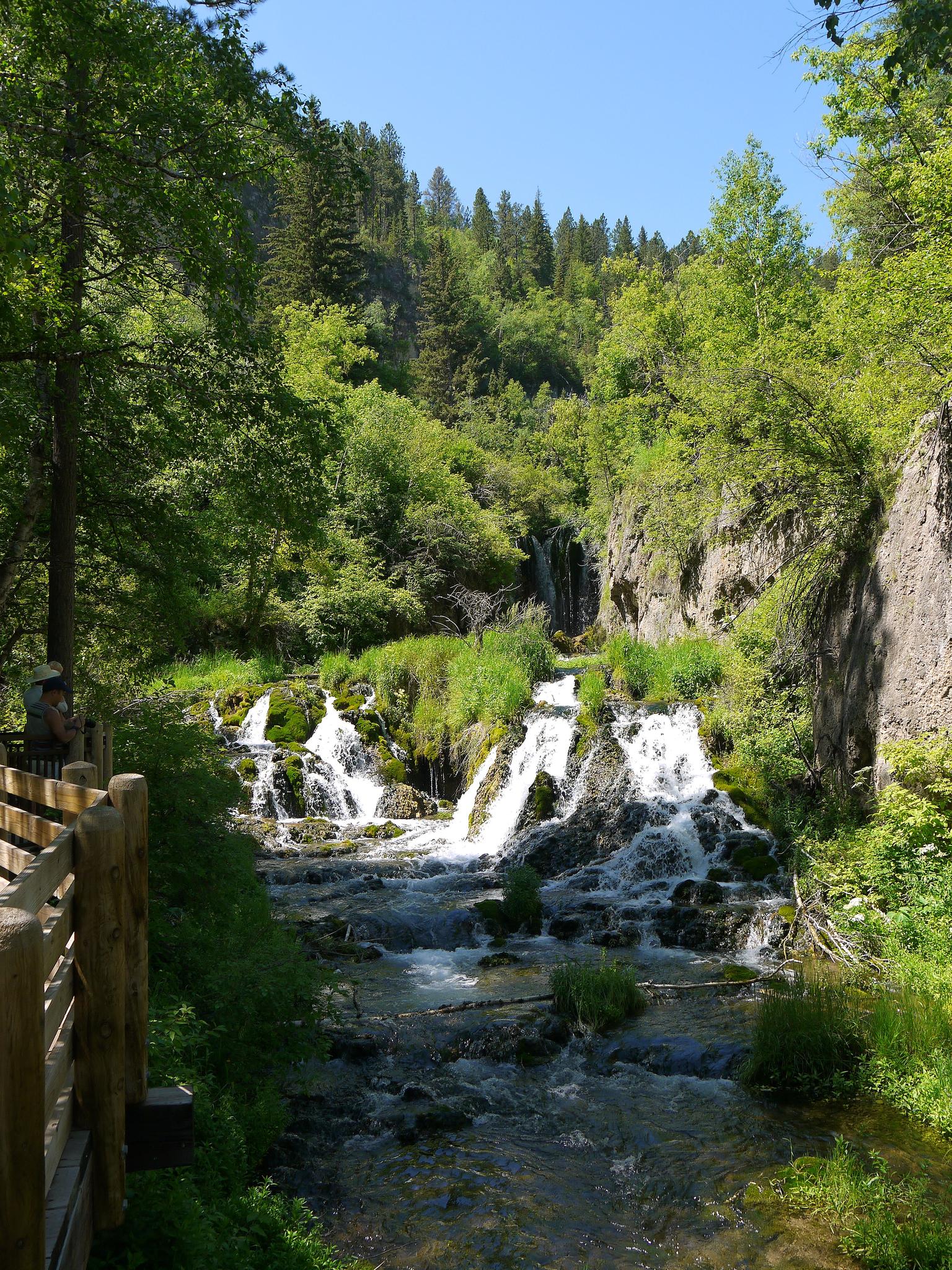 Cascading stream and small waterfalls in a lush, green forest with a boardwalk.