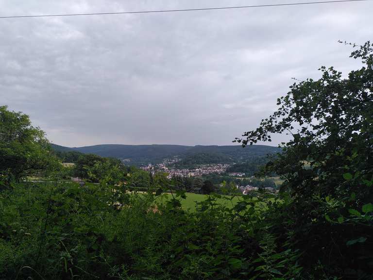 Fernblick zum Wartturm auf dem Molkenberg über Bad Orb Wanderungen und