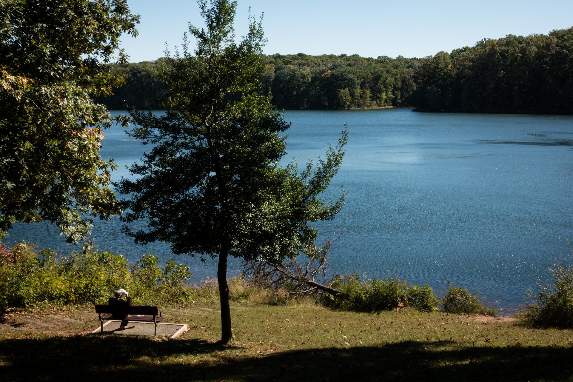 Person sitting on a bench by a large, calm lake with green trees.